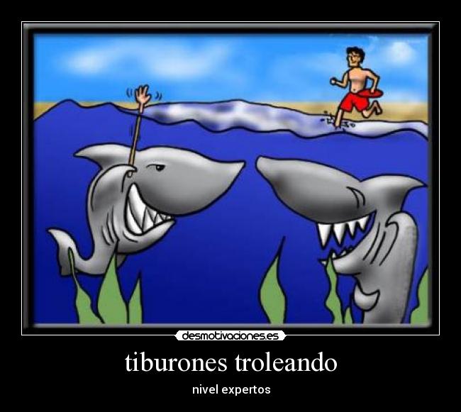 tiburones troleando - 