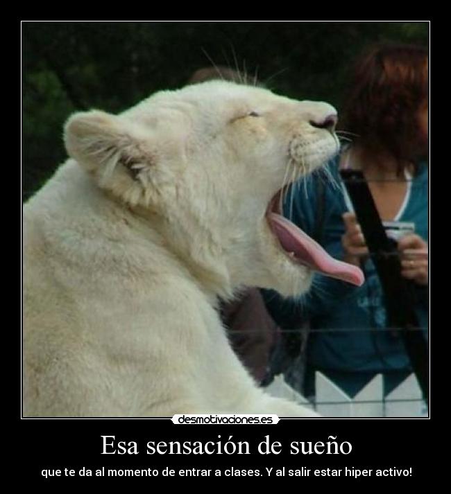 Esa sensación de sueño -