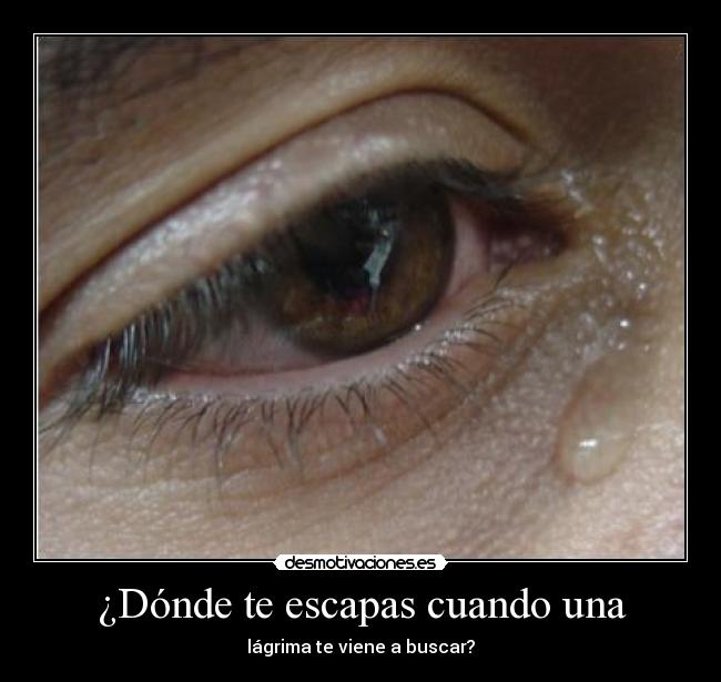 ¿Dónde te escapas cuando una - lágrima te viene a buscar?