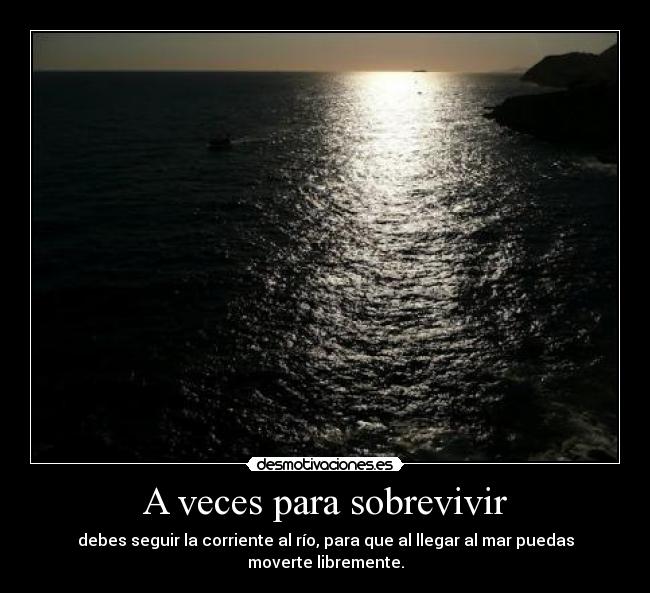 carteles sociedad persigue solo huye dejate llevar hasta que puedas desviarte desmotivaciones