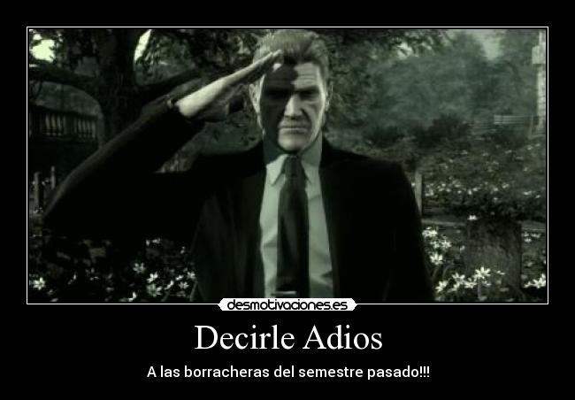 carteles escuela snake adios estudios diversion paladin nena que sea que ocurra desmotivaciones