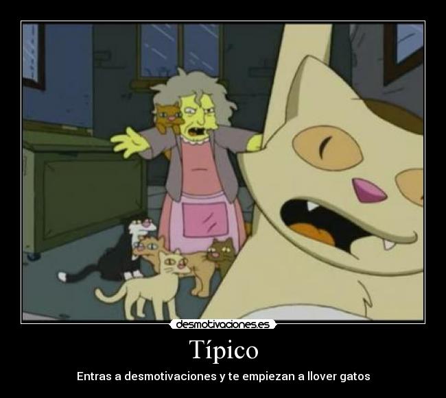 Típico - Entras a desmotivaciones y te empiezan a llover gatos