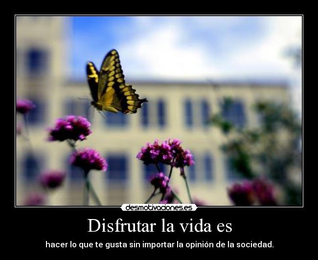 Disfrutar la vida es - hacer lo que te gusta sin importar la opinión de la sociedad.
