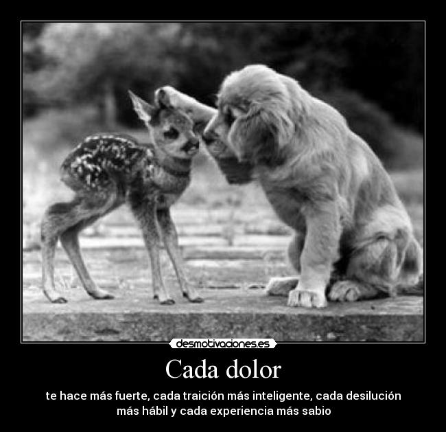 Cada dolor - te hace más fuerte, cada traición más inteligente, cada desilución
más hábil y cada experiencia más sabio