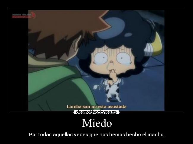 Miedo - 