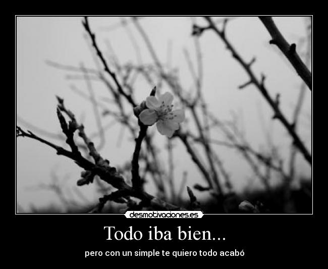 Todo iba bien... - pero con un simple te quiero todo acabó