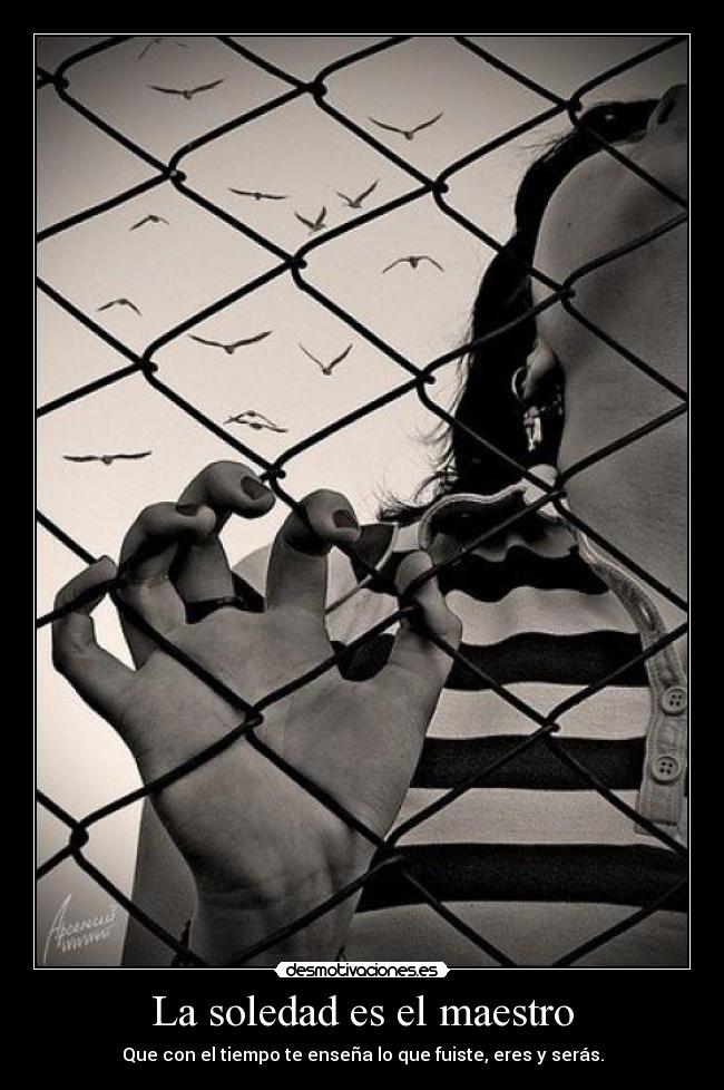 carteles soledad soledad maestro que con tiempo ensena que fuiste eres seras desmotivaciones