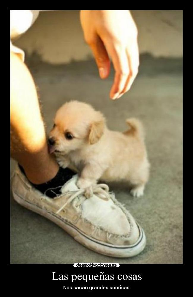 Las pequeñas cosas - Nos sacan grandes sonrisas.