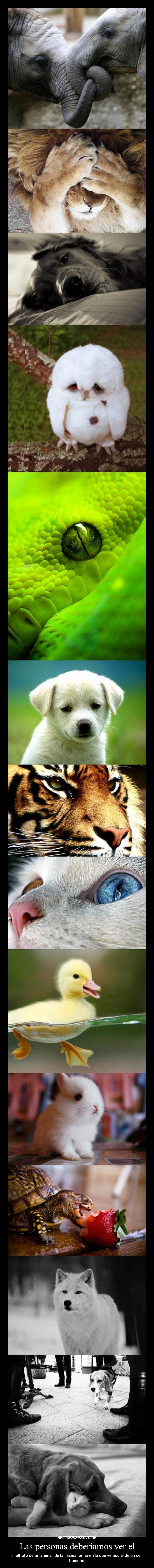 Las personas deberíamos ver el - 