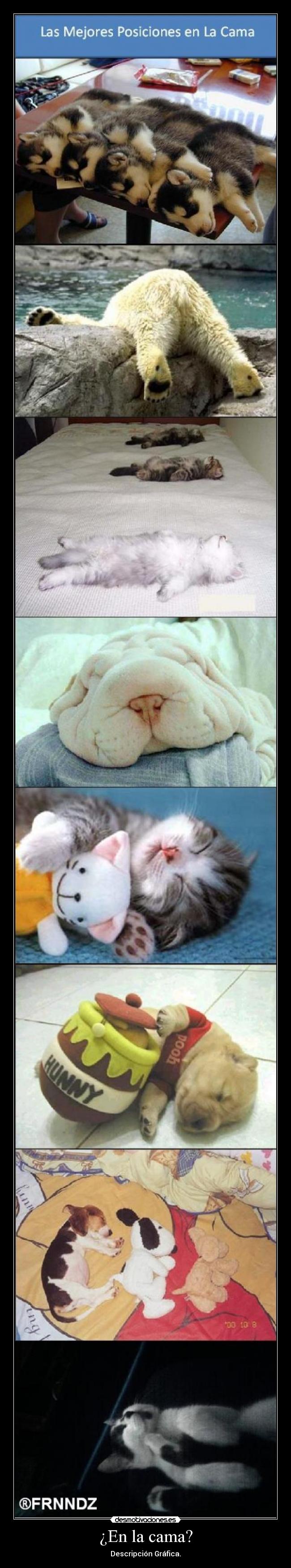 ¿En la cama? - Descripción Gráfica.