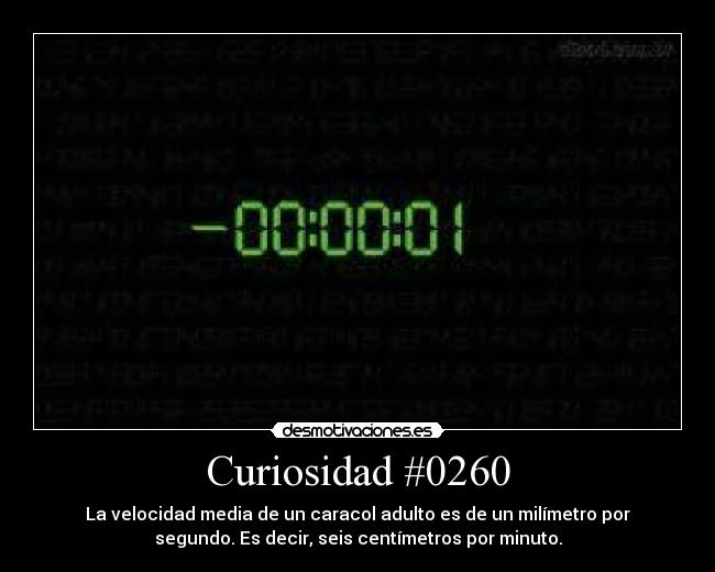 Curiosidad #0260 - 