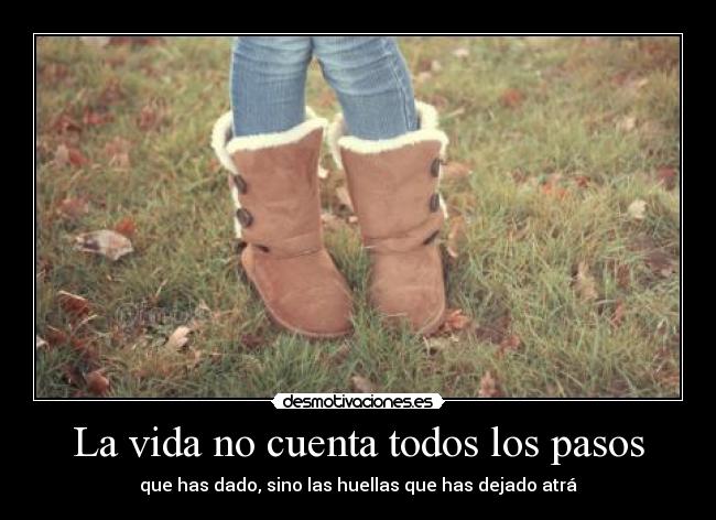 carteles vida vida cuenta todos los pasos desmotivaciones