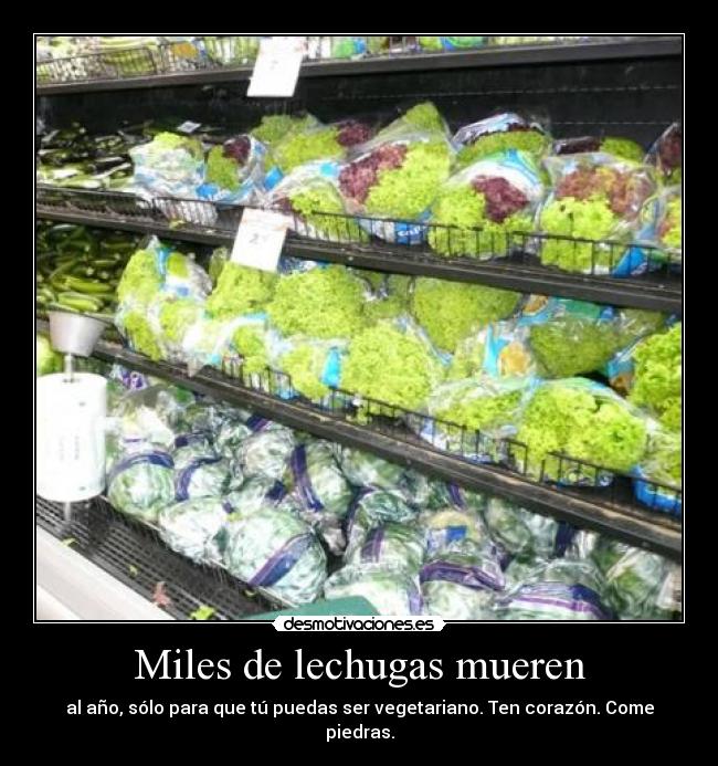 Miles de lechugas mueren - al año, sólo para que tú puedas ser vegetariano. Ten corazón. Come piedras.