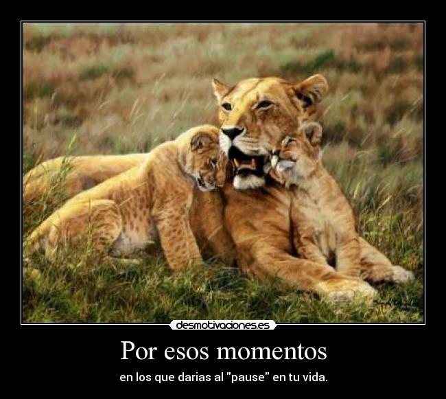 Por esos momentos - en los que darias al pause en tu vida.
