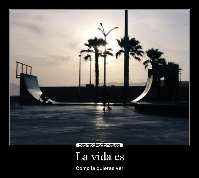 La vida es - 