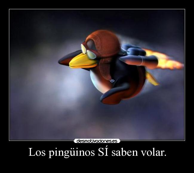 Los pingüinos SÍ saben volar. -