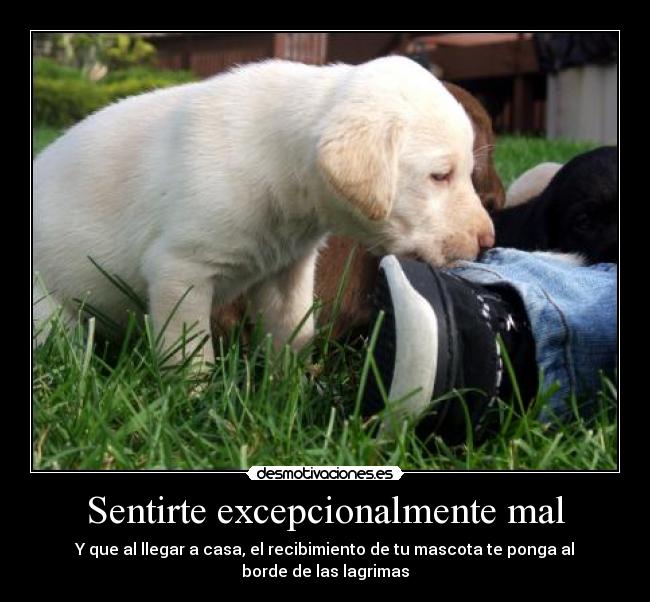 Sentirte excepcionalmente mal - 