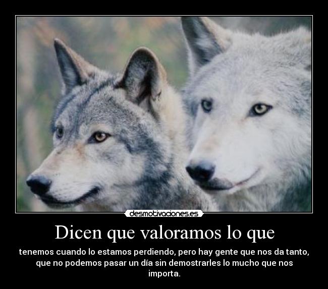 Dicen que valoramos lo que - tenemos cuando lo estamos perdiendo, pero hay gente que nos da tanto,
que no podemos pasar un día sin demostrarles lo mucho que nos
importa.