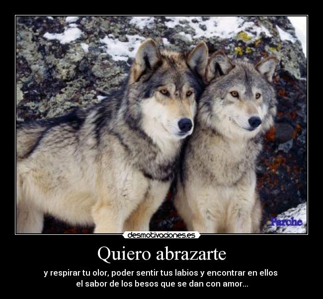 Quiero abrazarte - 