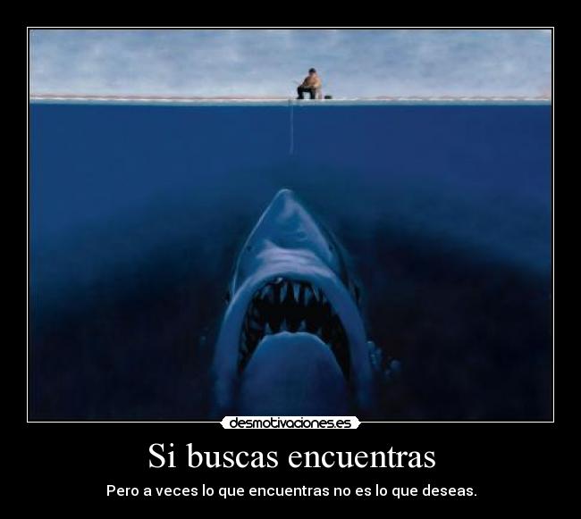 Si buscas encuentras - 