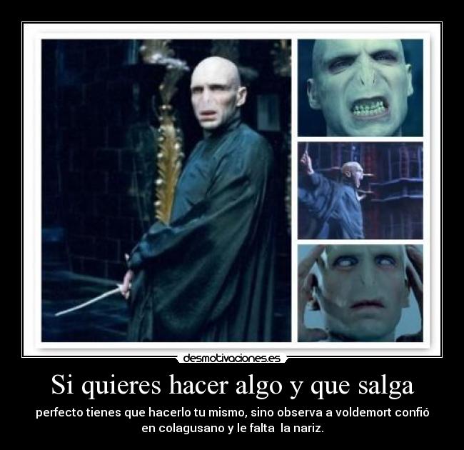 Si quieres hacer algo y que salga - perfecto tienes que hacerlo tu mismo, sino observa a voldemort confió
en colagusano y le falta la nariz.