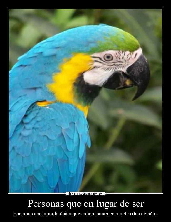 Personas que en lugar de ser -