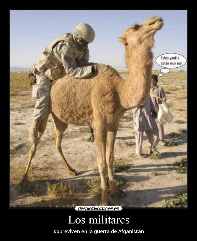 Los militares - sobreviven en la guerra de Afganistán