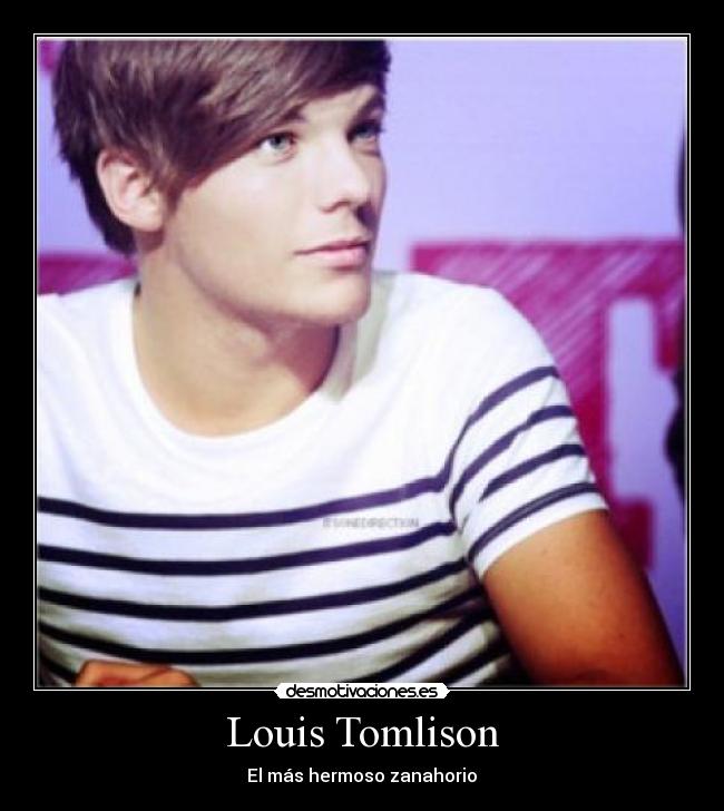 carteles louis tomlinson desmotivaciones