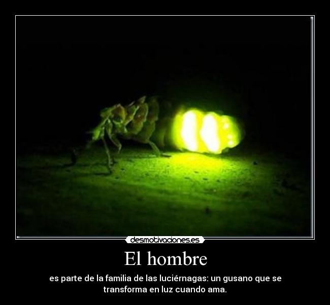 El hombre - 