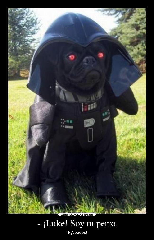 - ¡Luke! Soy tu perro. -