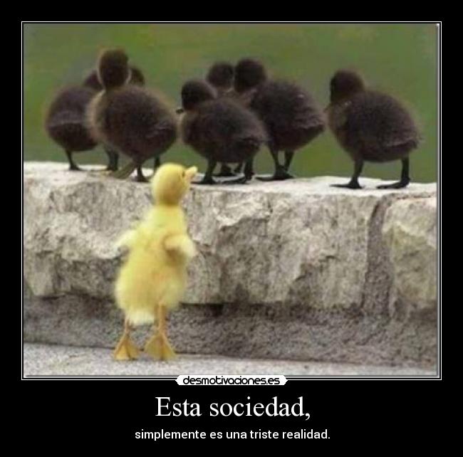 Esta sociedad, - simplemente es una triste realidad.