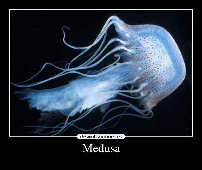 Medusa - 