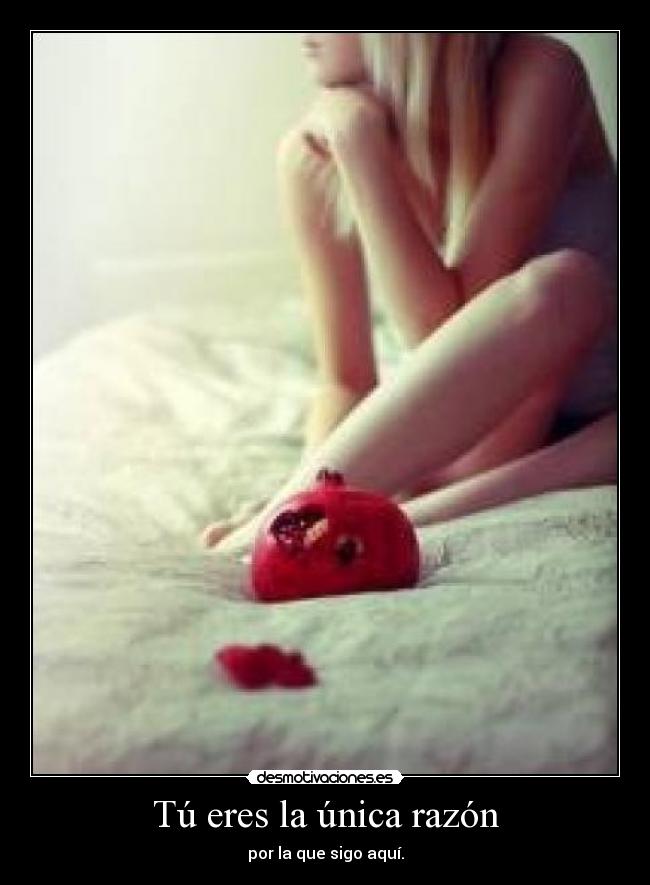 Tú eres la única razón - por la que sigo aquí.