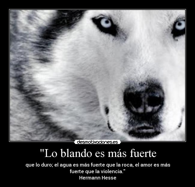 Lo blando es más fuerte -