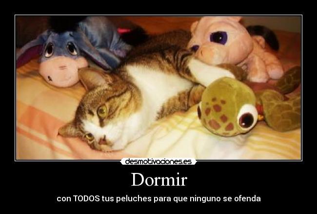 Dormir - con TODOS tus peluches para que ninguno se ofenda