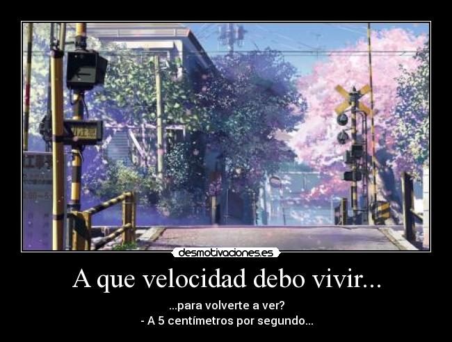 A que velocidad debo vivir... - ...para volverte a ver?
- A 5 centímetros por segundo...