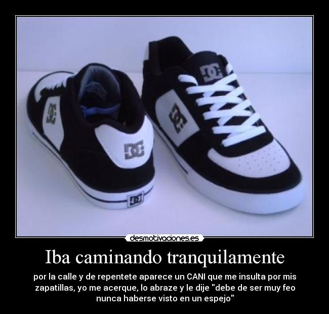 Iba caminando tranquilamente - por la calle y de repentete aparece un CANI que me insulta por mis
zapatillas, yo me acerque, lo abraze y le dije debe de ser muy feo
nunca haberse visto en un espejo