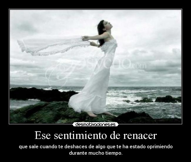 carteles ese sentimiento renacer que sale cuando deshaces algo que estado oprimiendo durante desmotivaciones