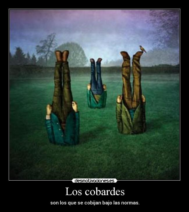 Los cobardes - son los que se cobijan bajo las normas.