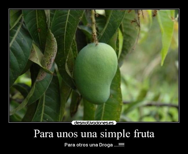 carteles sebas marin desmotivaciones