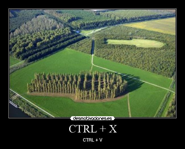 CTRL + X - CTRL + V