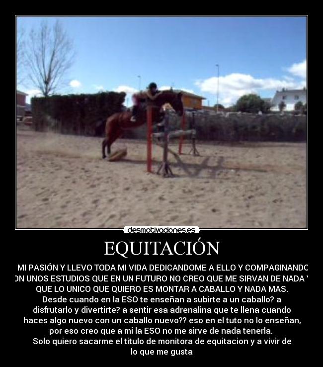 EQUITACIÓN - 