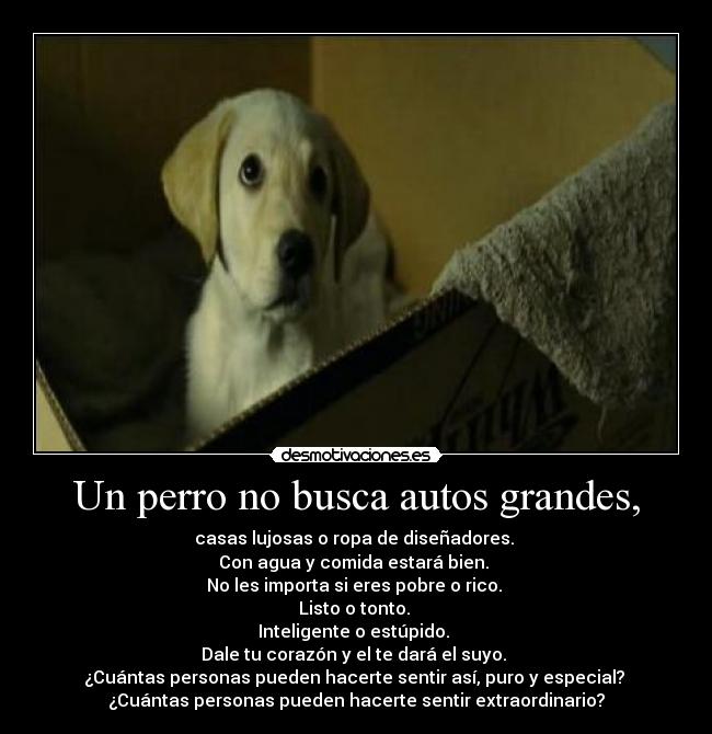 carteles marley desmotivaciones