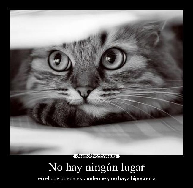 No hay ningún lugar - en el que pueda esconderme y no haya hipocresía