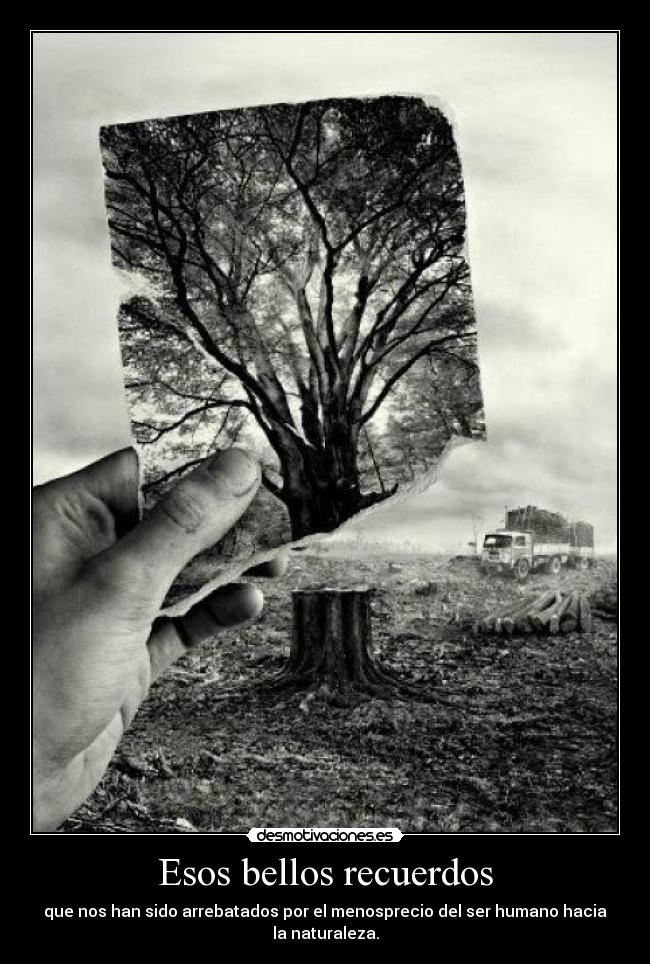 Esos bellos recuerdos -