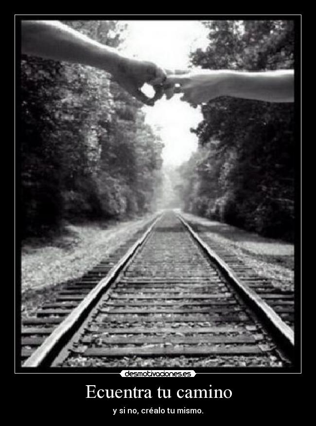 carteles encuentra desmotivaciones