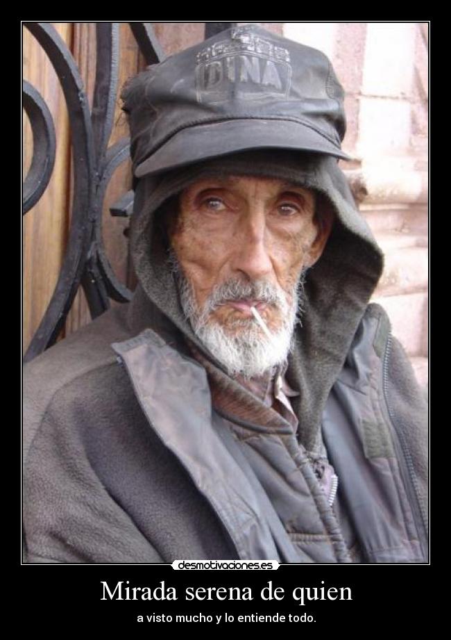 Mirada serena de quien - a visto mucho y lo entiende todo.