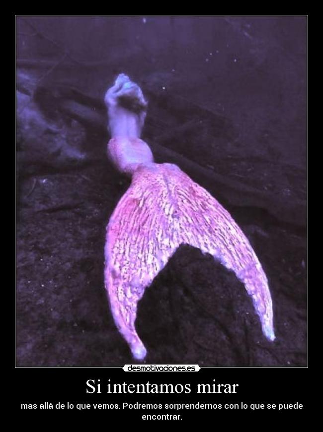Si intentamos mirar - mas allá de lo que vemos. Podremos sorprendernos con lo que se puede encontrar.