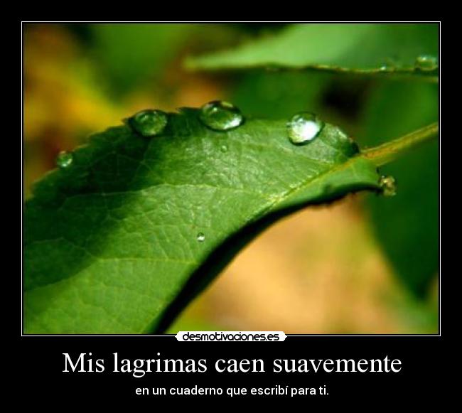 Mis lagrimas caen suavemente - en un cuaderno que escribí para ti.