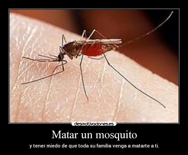 Matar un mosquito - y tener miedo de que toda su familia venga a matarte a ti.